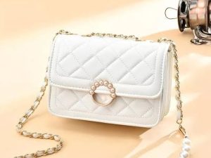 Ladies bag-04